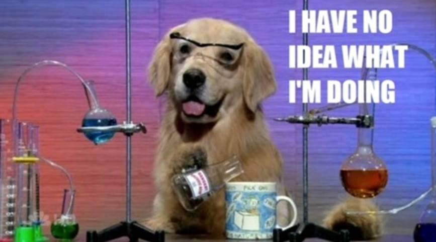A golden retriever wearing safety glasses in a chemsitry lab pouring a beaker of liquid into a coffee mug